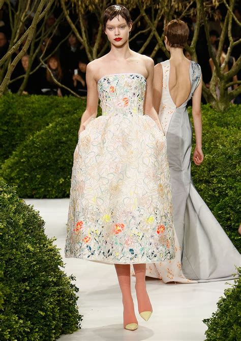 dior schubert|christian dior dresses 2013.